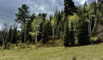 15098 CR 240, Bayfield, CO 81122