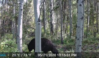 NHN Lost Creek Rd, Anaconda, MT 59711