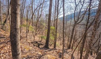 Ararat Highway, Ararat, VA 24053