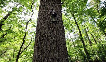 25270 B Dr S, Albion, MI 49224