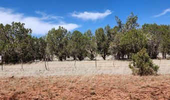 Ranch And Cattle lot 13, Ash Fork, AZ 86320