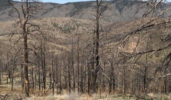 3600 Moondance Way, Bellvue, CO 80512