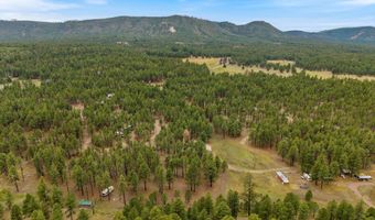 County Rd 2121, Alpine, AZ 85920
