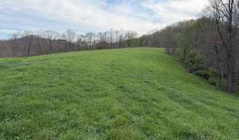 1999 Snake Run Rd, Alderson, WV 24910