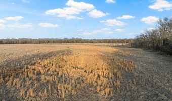 877 County Road 4612, Sulphur Springs, TX 75482
