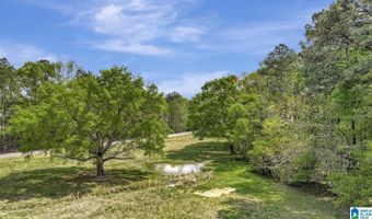 515 HOYT HILL Rd, Ashville, AL 35953
