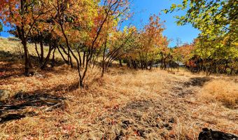 1735 S TEMPLE 203, Bountiful, UT 84010