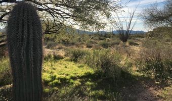 39005 N CRESTED QUAIL Run 18, Carefree, AZ 85377