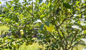 16 Pritchard Farms Ct, Bluffton, SC 29910