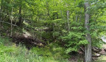 Tbd Wakeman Way, Banner Elk, NC 28604
