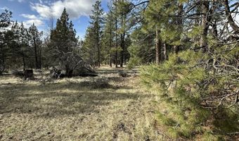 Widgeon Drive lot 3, Bonanza, OR 97623