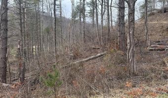 99999 Mountain Crest Dr, Bakersville, NC 28705