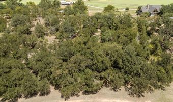 3 W Bluff Ln, Millsap, TX 76066