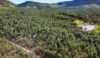 15 Co Rd 2083, Alpine, AZ 85920