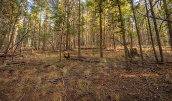 El Camino Real lot 35, Angel Fire, NM 87710