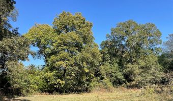 Tbd cr 3310, De Kalb, TX 75559