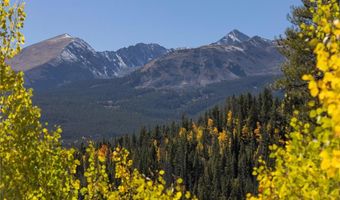 1139 BOREAS PASS Rd, Breckenridge, CO 80424