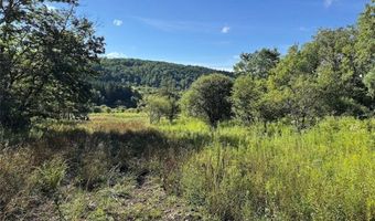 Lynch Road, Alfred, NY 14806