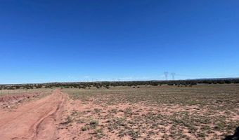 005 N9119, Concho, AZ 85924
