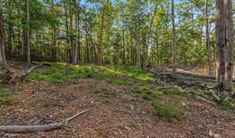 417 MALLARD Dr, Basye, VA 22810