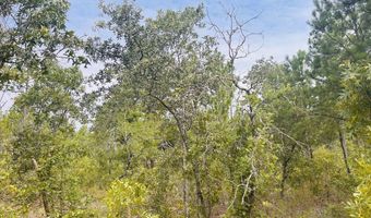 375 Village Ln, Mauk, GA 31058