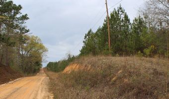 95 Herman Bell Rd, Mauk, GA 31058