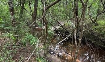 25332 HWY 435 Lot 25332, Abita Springs, LA 70420