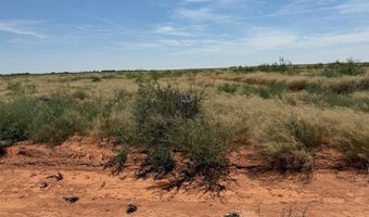 1150 SE 1620, Andrews, TX 79714