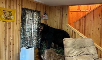 385 ELK CREEK Rd, Aaronsburg, PA 16820