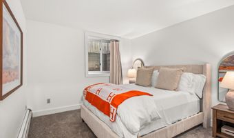 406 W Smuggler St, Aspen, CO 81611