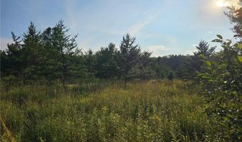 Track A Hwy 87, Backus, MN 56435
