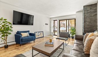 210 E Cooper Ave 1-C, Aspen, CO 81611