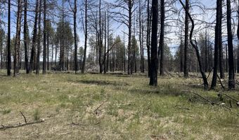 Off Hicks Road Lot 3, Bly, OR 97622