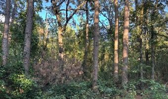 8517 Wildwood Trl, Altus, AR 72821