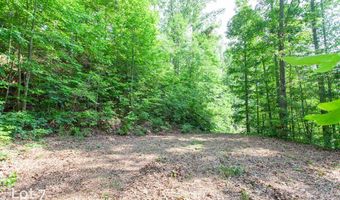 1200 Tobacco Branch Rd, Almond, NC 28702