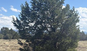 10 NE Kirkwood N8715, Concho, AZ 85924