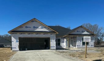 9410 Byron Ct Lot 209, Bailey, NC 27807