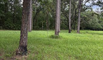 10901 Hall Dr, Axis, AL 36505