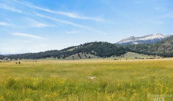 17 Gray Ln, Cascade, ID 83611