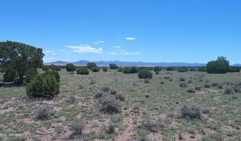 Tbd Windsor Valley Ranch Lot 87, Concho, AZ 85924