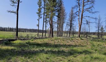 Parazoo Trail Lot 2 Block 8, Bly, OR 97622