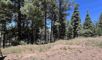 Rainbow Overlook Lot 1229RE Amended A, Angel Fire, NM 87710