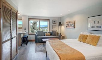 535 S Park Ave 317, Breckenridge, CO 80424