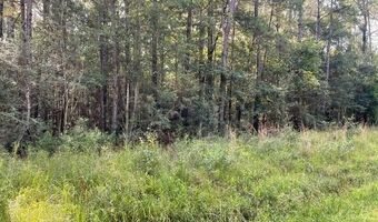 Lot 19 Trap St, Abita Springs, LA 70420