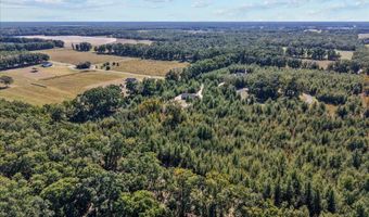 4906 36th St, Bell, FL 32619