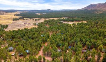 2 County Road 2069, Alpine, AZ 85920