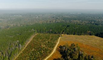 971 Somerset Rd SE, Bogue Chitto, MS 39629