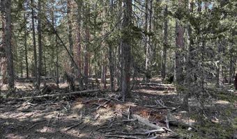 Lot 74 Happy Way, Angel Fire, NM 87710