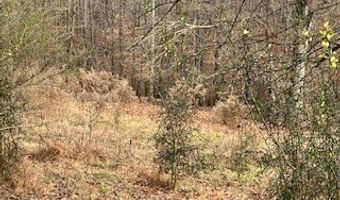 Julius Bridge Road, Ball Ground, GA 30107