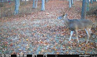 Chase Rd, Athens, OH 45701